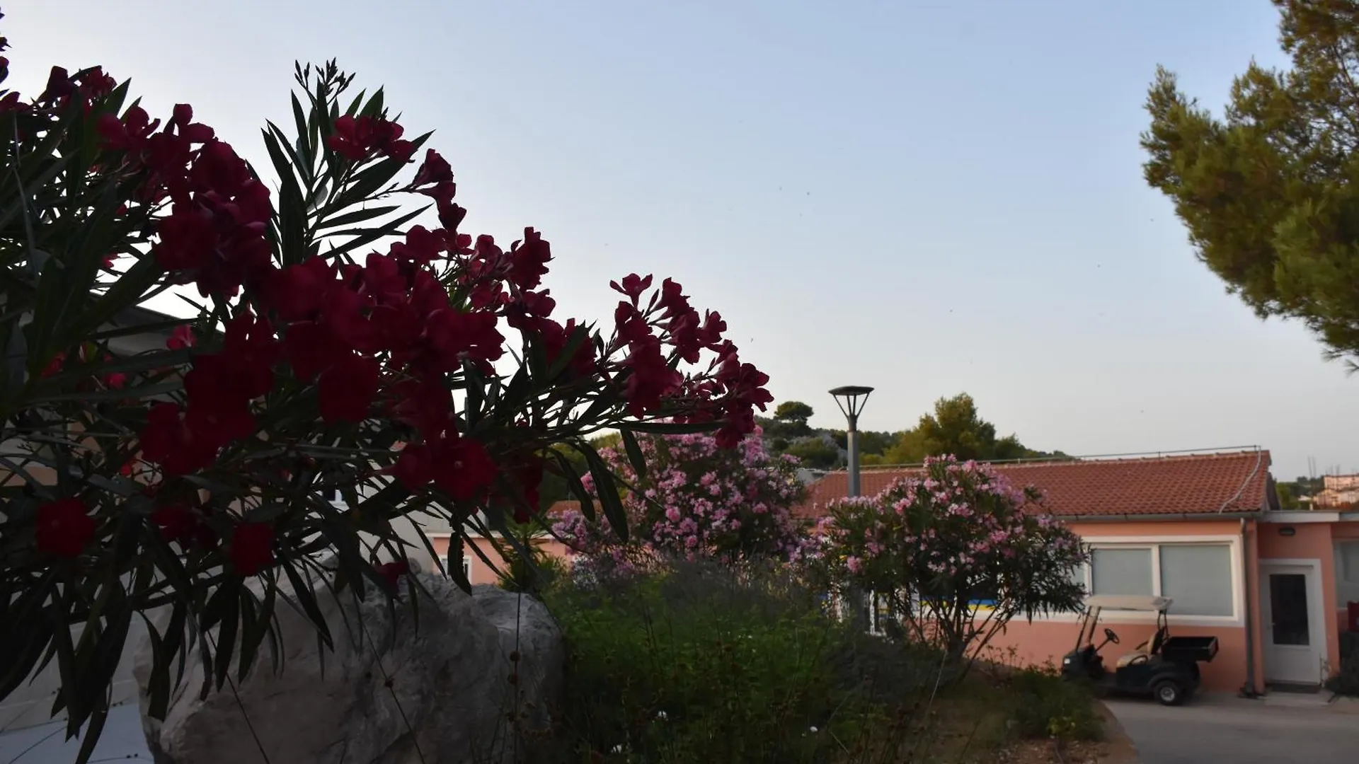 Oremore - Premium Mobile Home - Oaza Mira Camping, Drage 0*,  Croatia